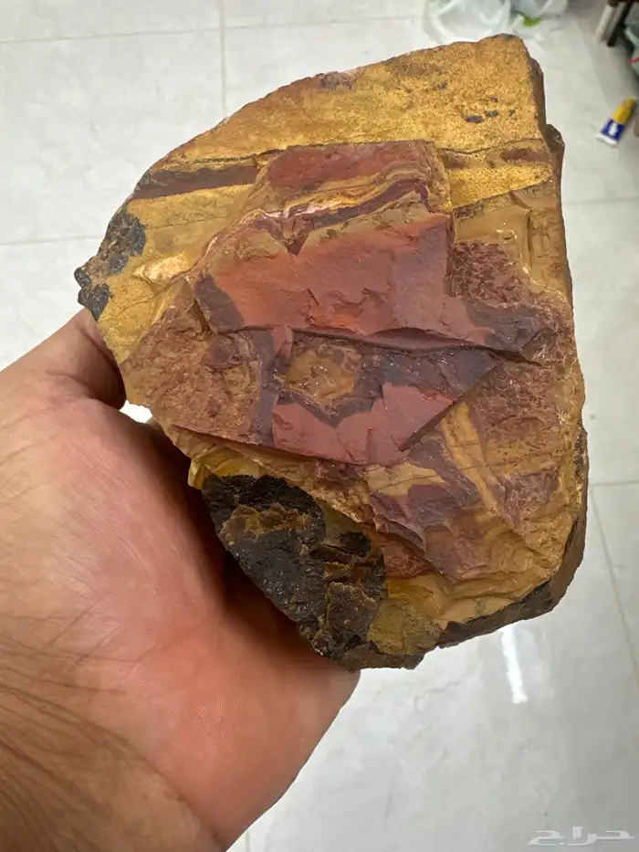 عين النمر قطعة خام 1