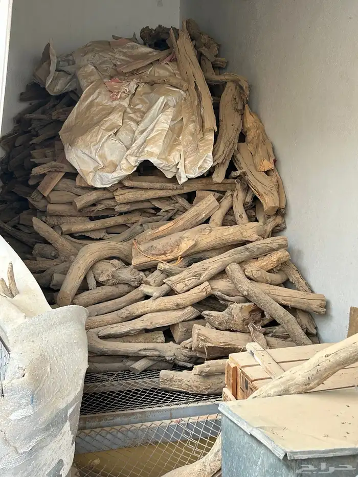 شحنتين شاص او ثلاث 1