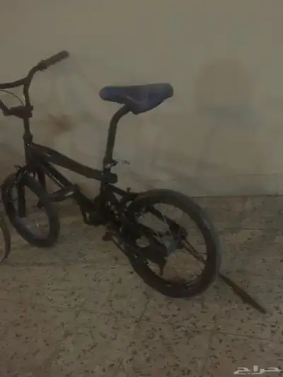 سياكل 5