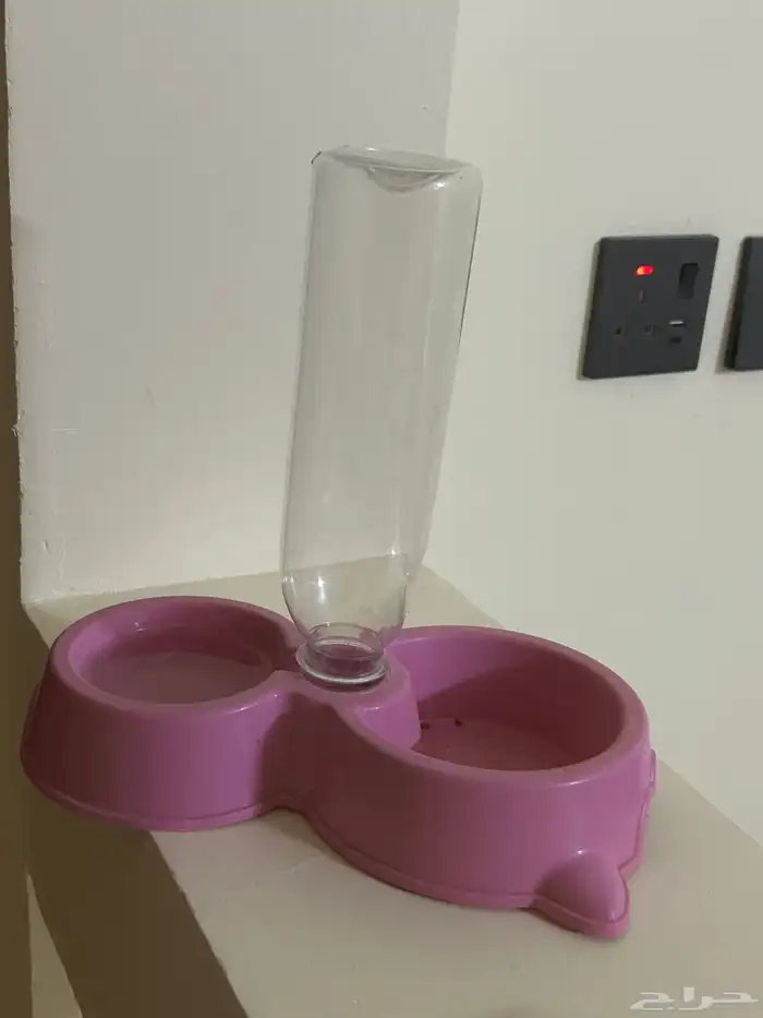قطط 3