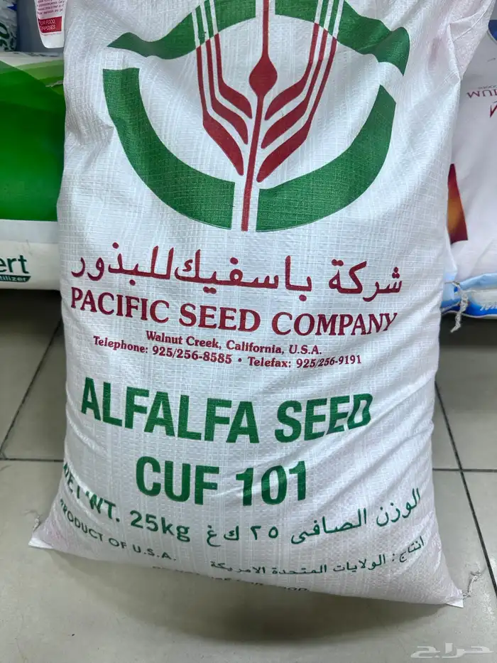 بذور برسيم ك 101 لتواصل واتس 0