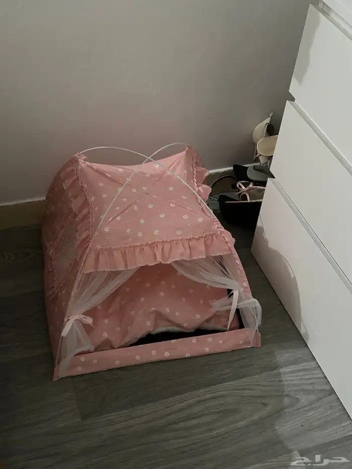 قطط 4