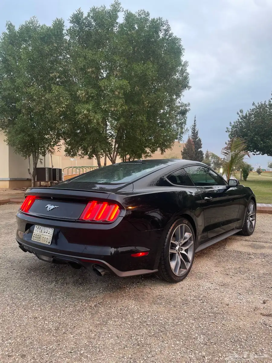 2015 MUSTANG index