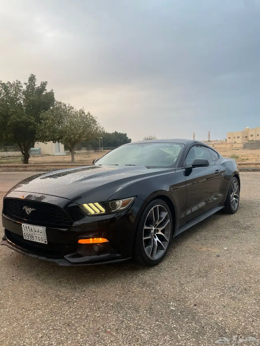 2015 MUSTANG index