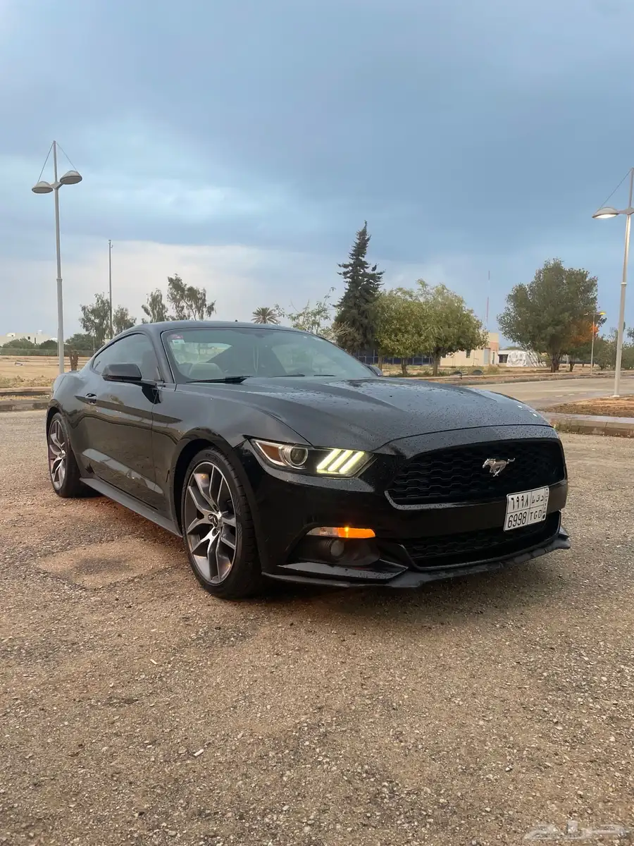 2015 MUSTANG index