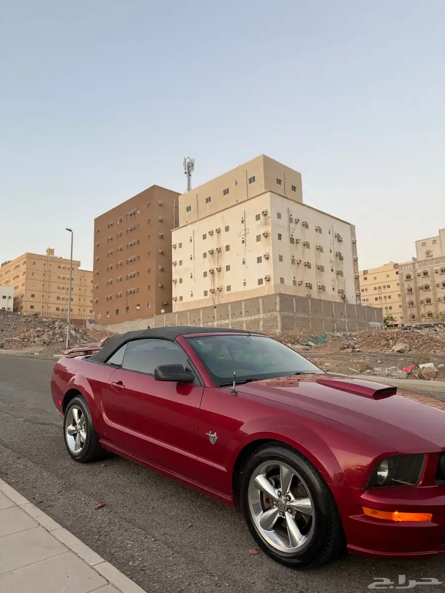 موستنج GT 8 سلندر بودي وكاله كشف index