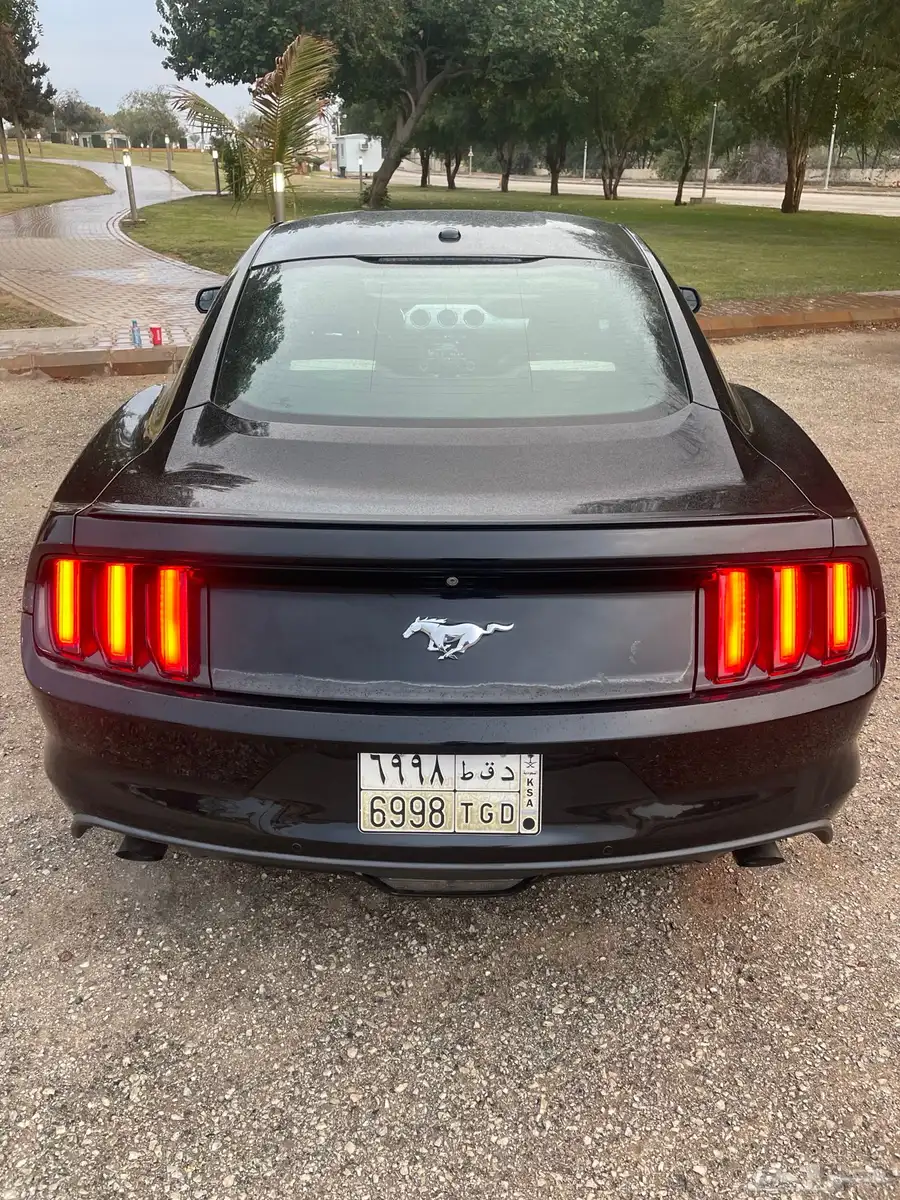 2015 MUSTANG index