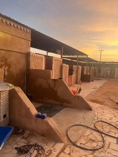 مربط ايواء 3