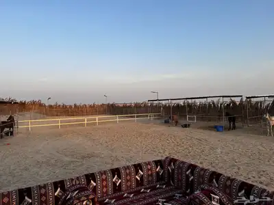 مربط سما للخيل العربيه الاصيله 0
