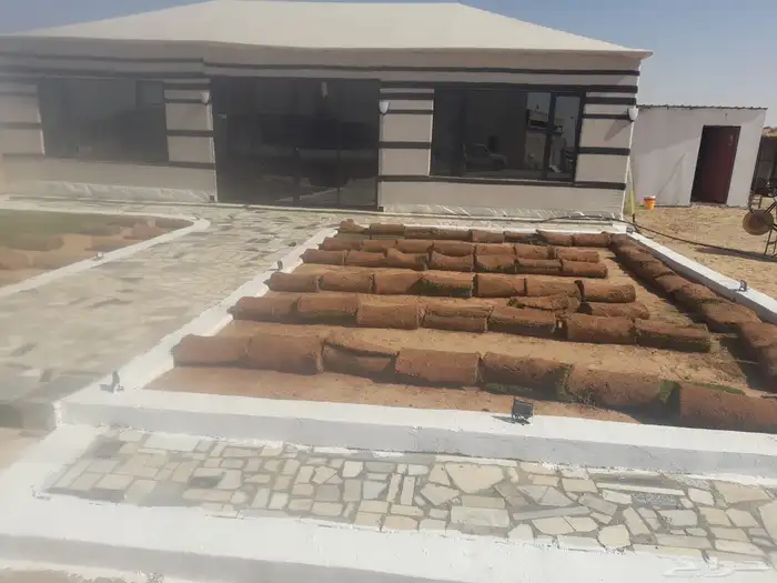 ثيل الخرج في بريده 6