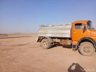 وايت حصناني مديل 76 بدون اوراق 0