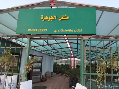 نجيل طببعي واشجار زينه وفاكهه 7