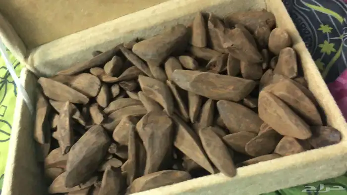 عود طبيعي و في طبيعي محسن و معمول ملكي 3