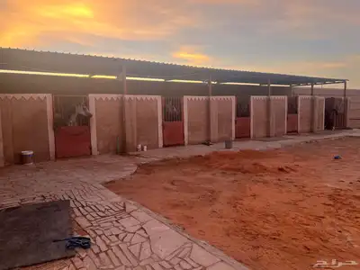 مربط ايواء 2