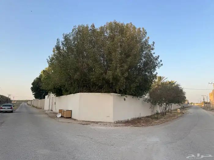 للإيجار بيت داخل استراحه مدخل خاص 1