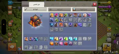 قرية تاون 10 ماكس 3