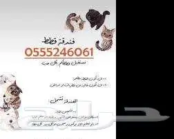 فندقة قطط وطيور وقت سفركم 6061 24 0555 حي المروج 0