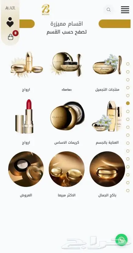 تصميم وبرمجة متجر إلكتروني على سلة - زد - Wordpress 26