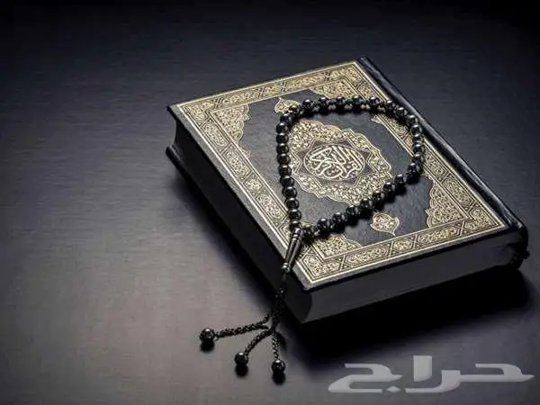 تعليم القران والتجويد للكبار والصغار (عن بعد) 0
