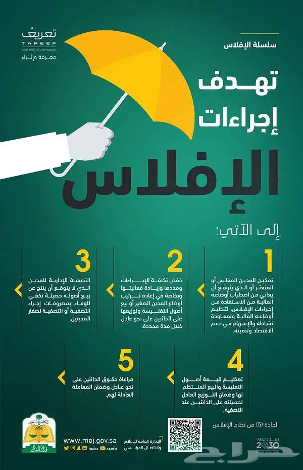 محامي متخصص في جميع قضايا الإفلاس وإعادة التنظيم المالي 0