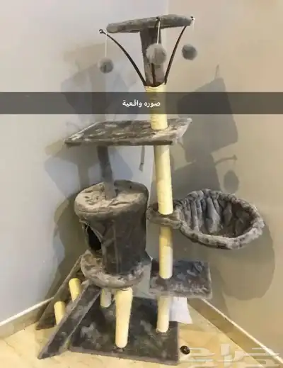 بيت قطط شبه جديد 1