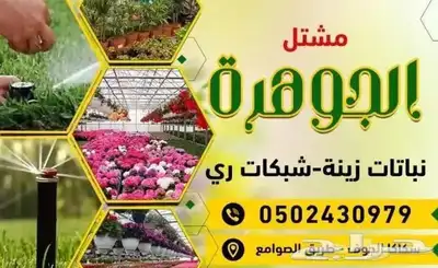 نجيل طببعي واشجار زينه وفاكهه 18