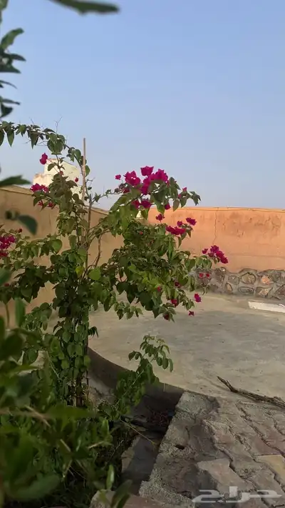 استراحه للايجار في شهار 2