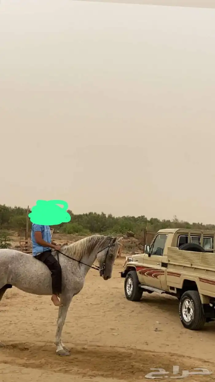 تم البيع 0