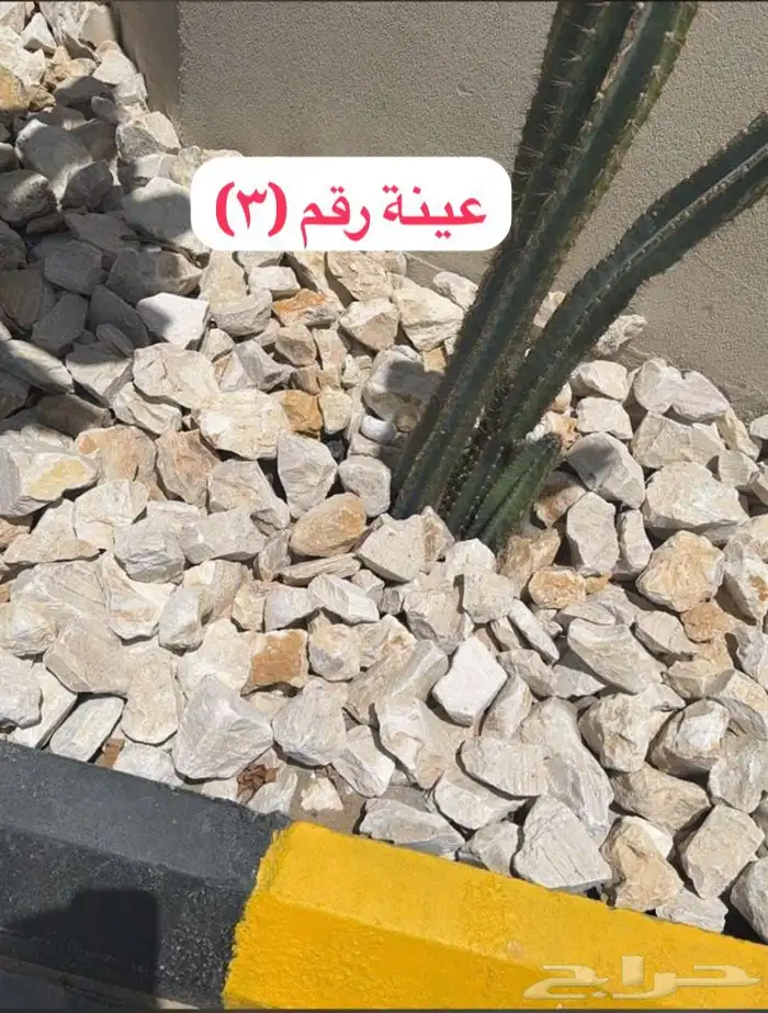 توريد حجر نهري وجميع حجر الزينة 19
