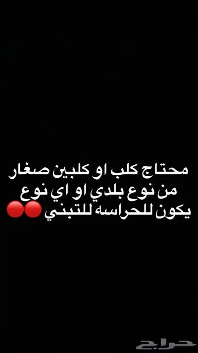 محتاج كلب للتبني 0
