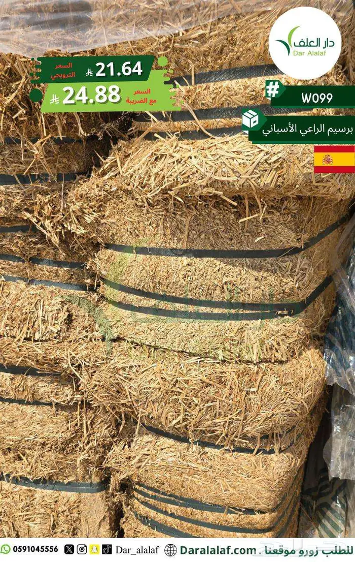 برسيم الراعي استيراد اسبانيا 0