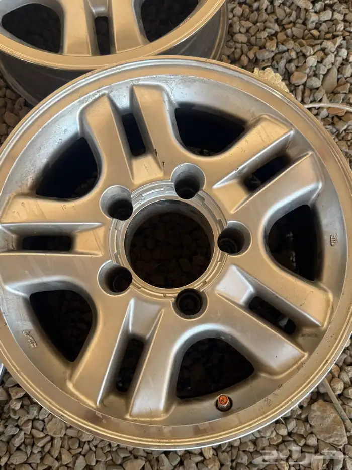 جنوط لكزز الحميدي 2