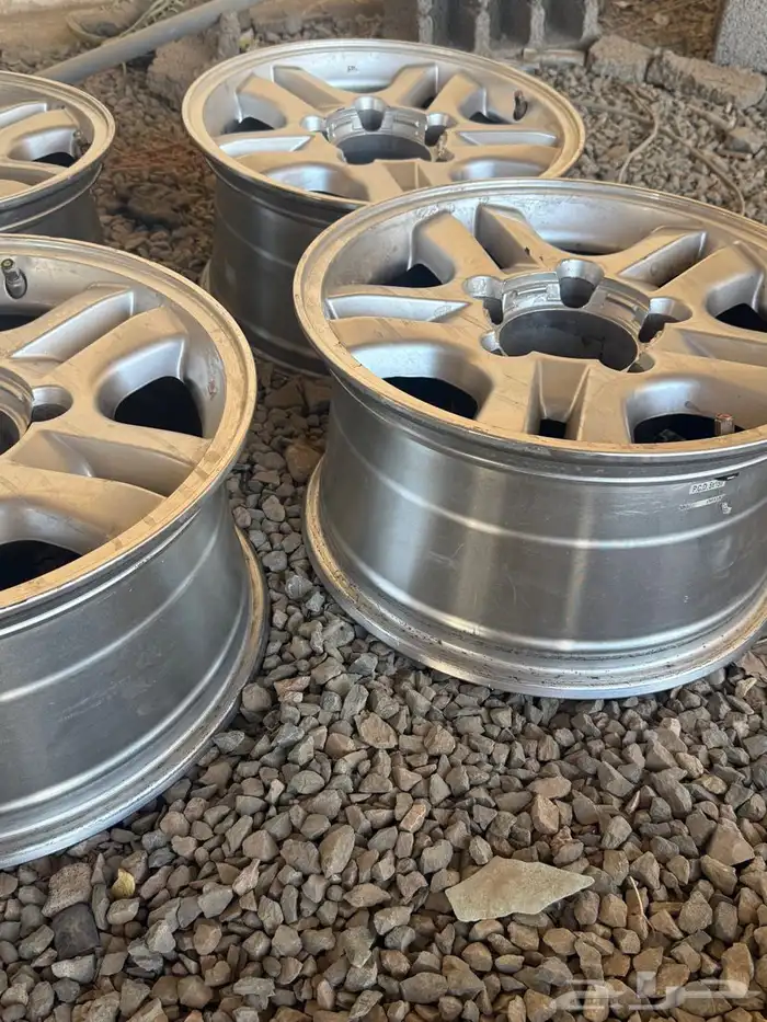 جنوط لكزز الحميدي 1