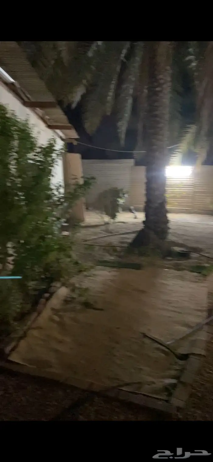 استراحه  للإيجار 0