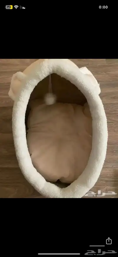 مستلزمات قطط 0