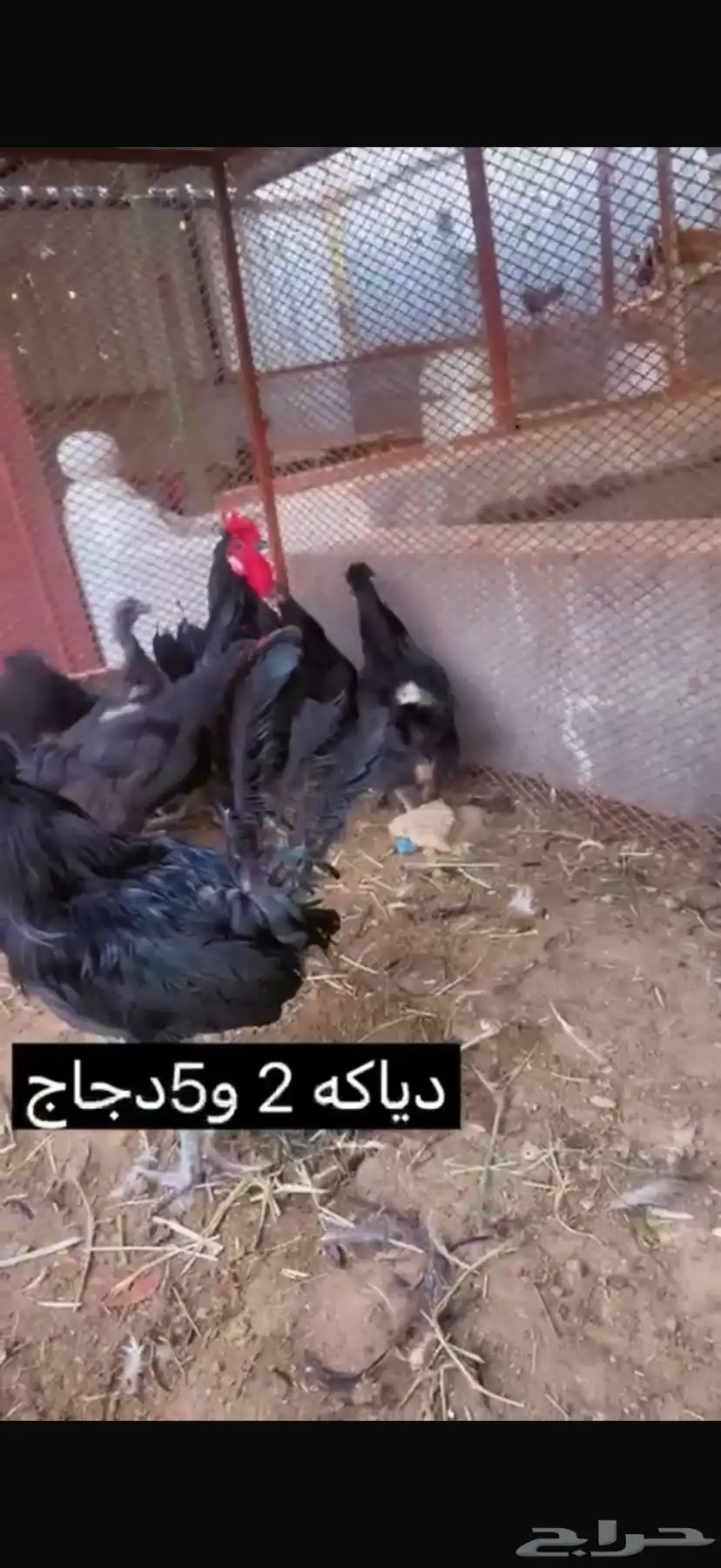 طقم اسود بياض شرط صح ونضافه الموقع القرين 0