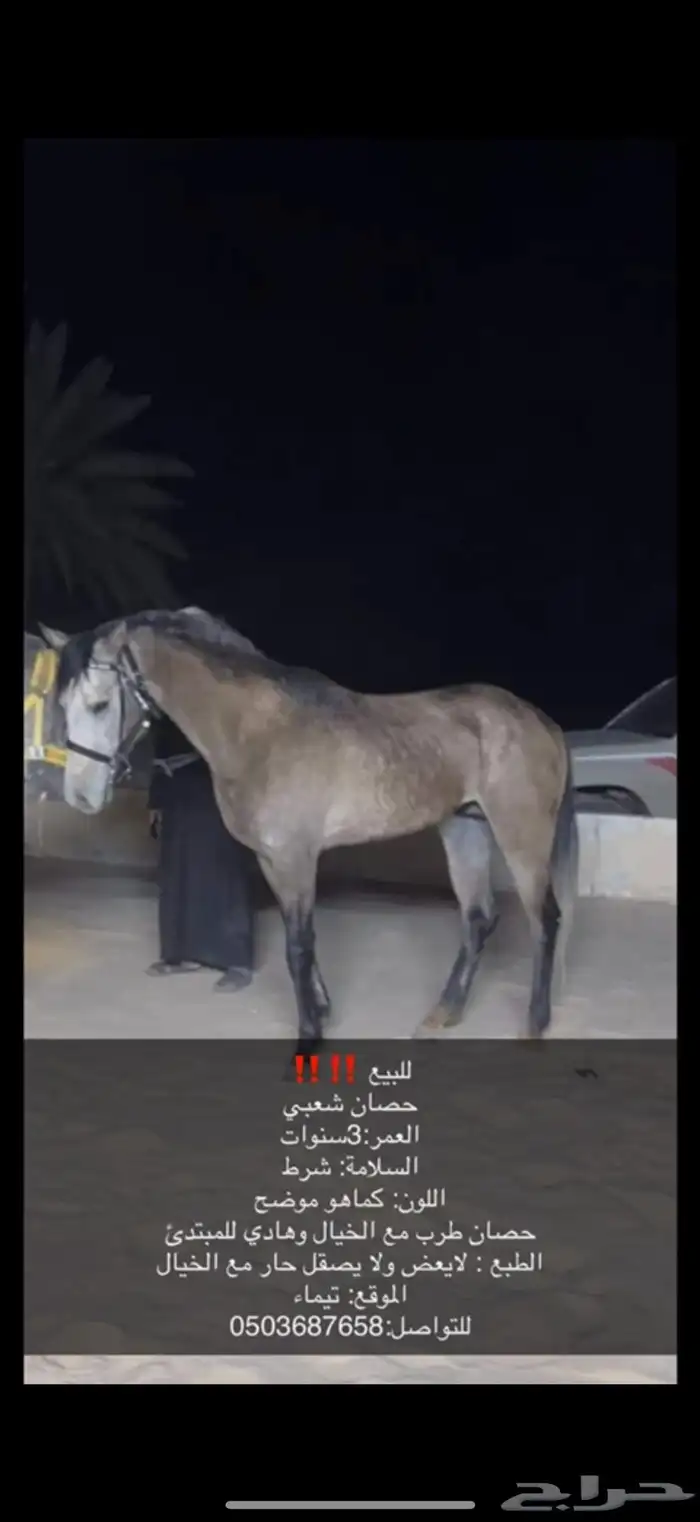 خيل 0