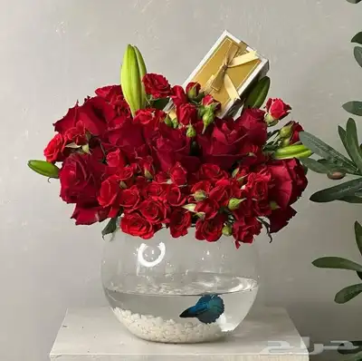تمحل ورد وهدايا خميس مشيط ابها تندحه احد رفيده 2