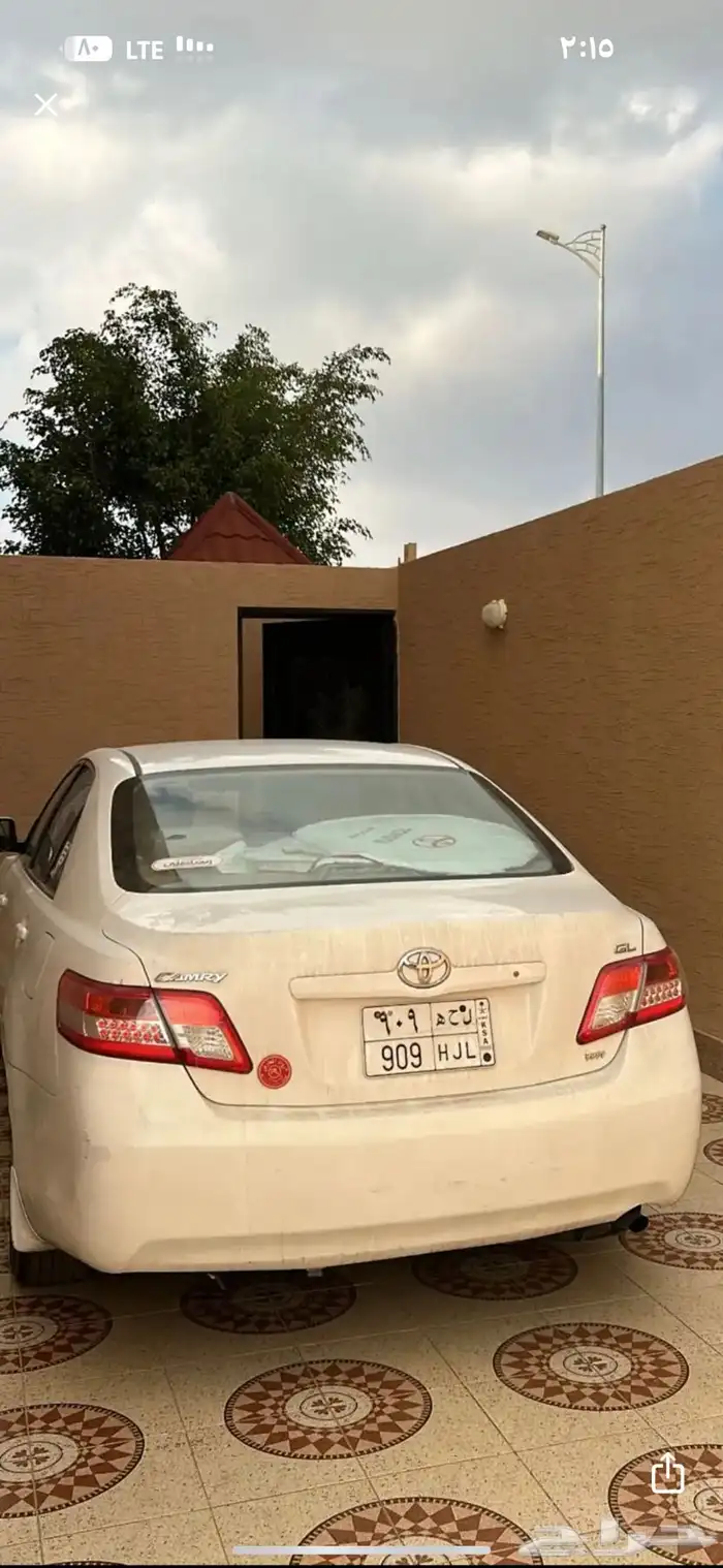 لوحه مميزه للبيع (ل ح ه) 909 0