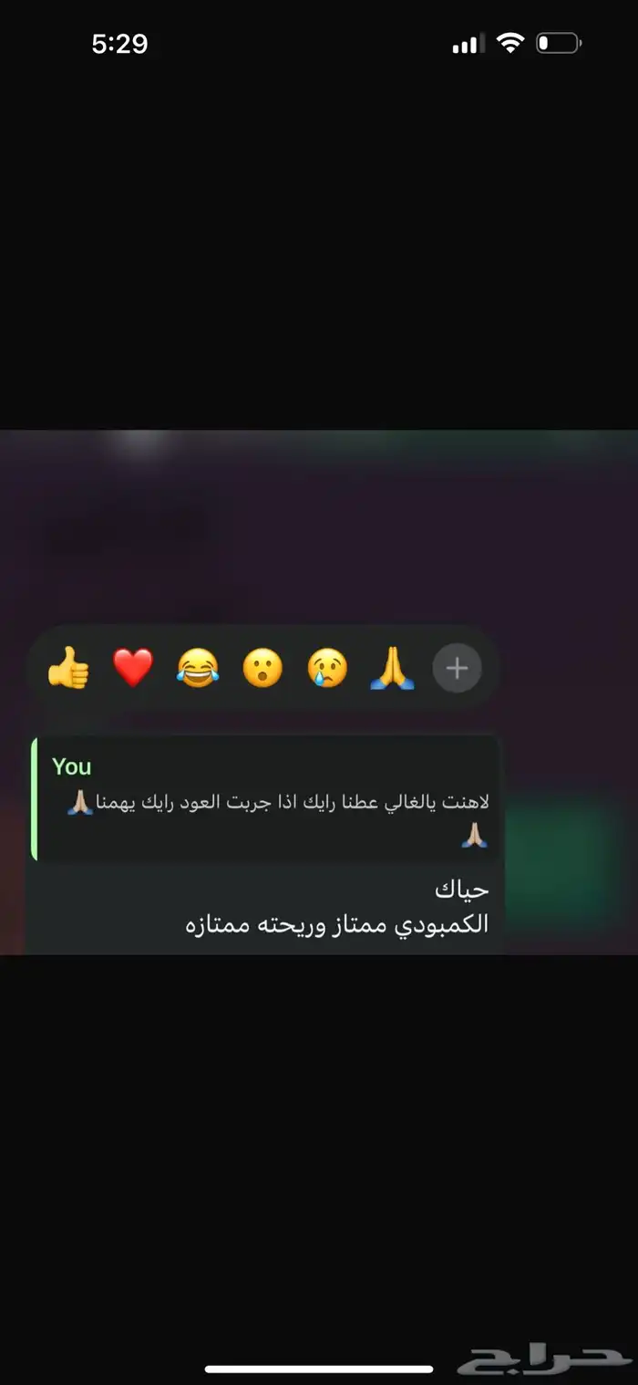 عود كمبودي تايقر درجة اولى 5