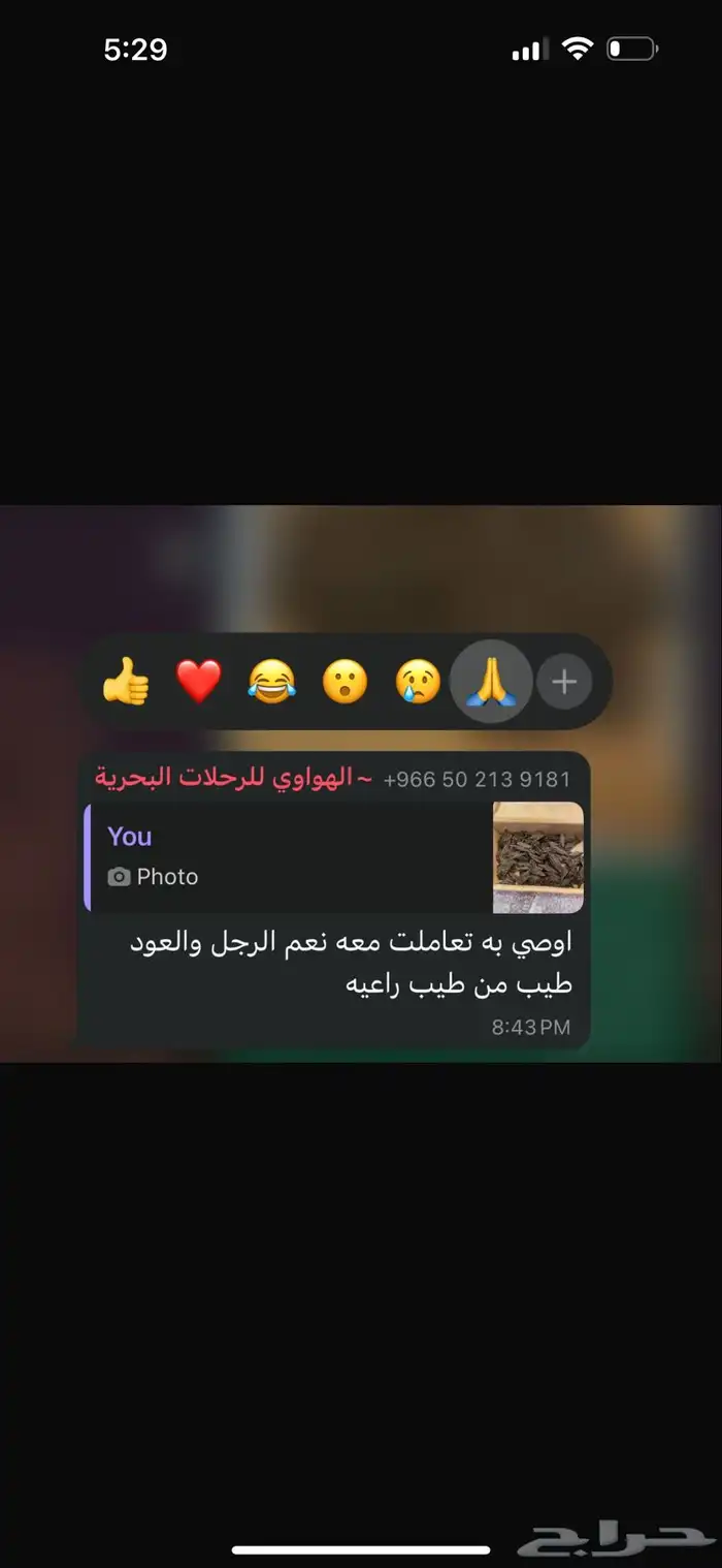 عود كمبودي تايقر درجة اولى 6