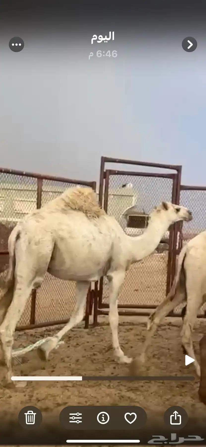 قعودمقفل index