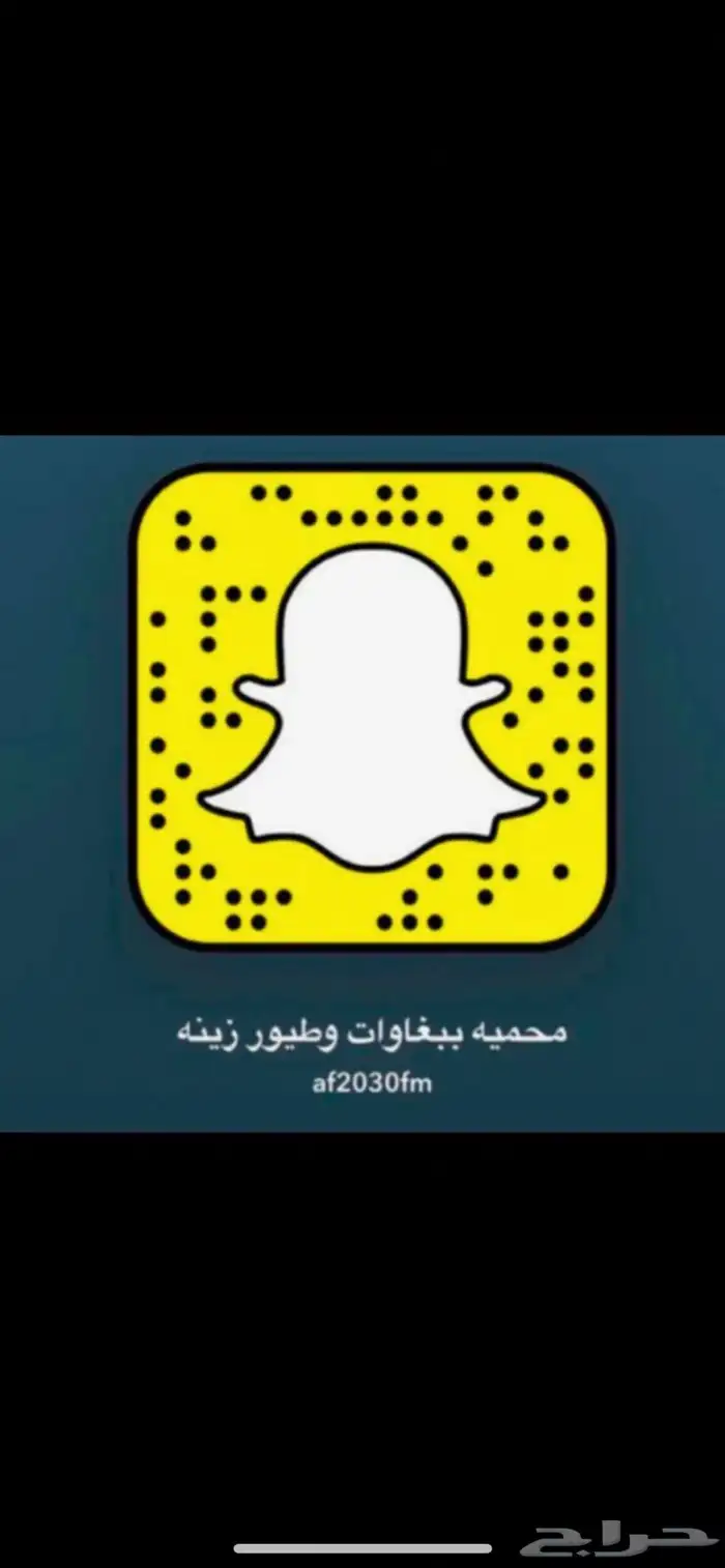جوز روز 1