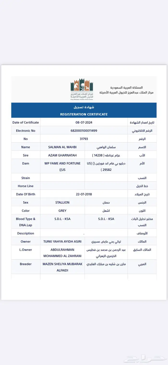 خيل ورق 1