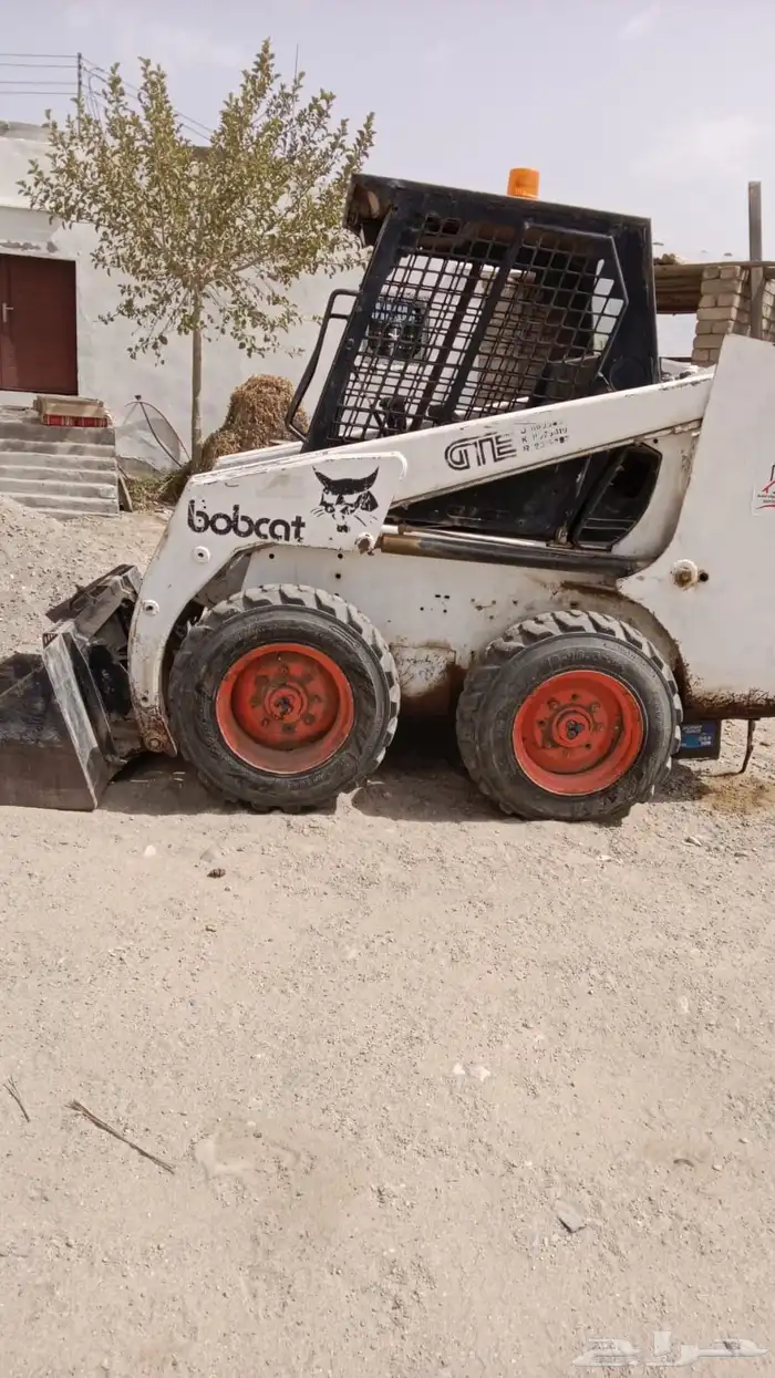 ببكات ابو بس للبيع 1