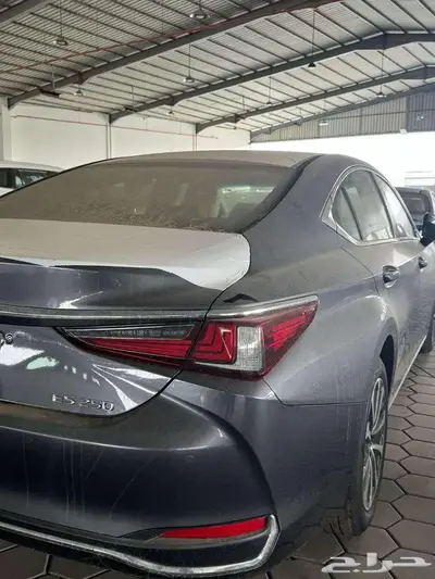 لكزس ES 250 AA موديل 2025 2