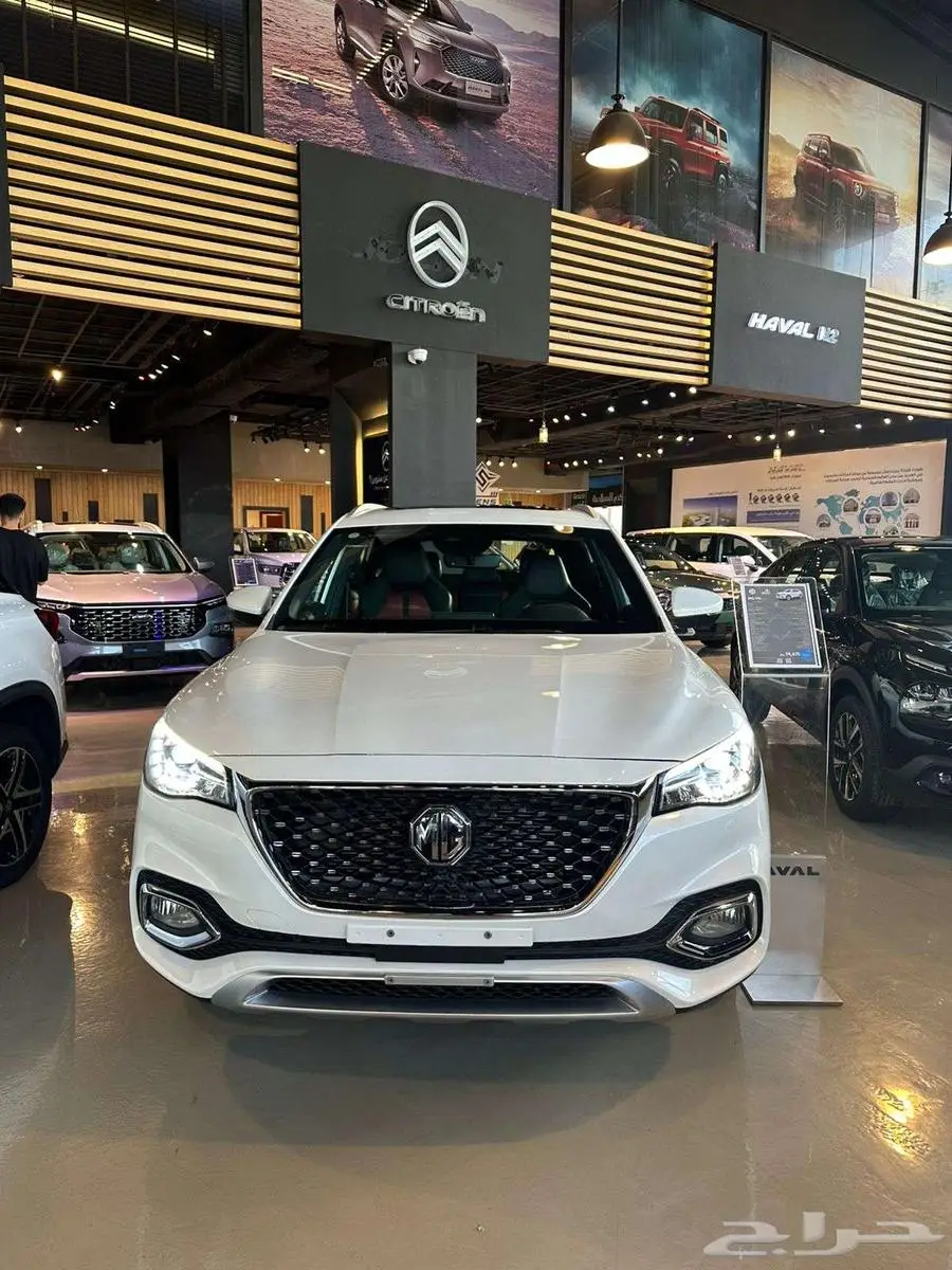 MG HS 2023 FULL OPN index