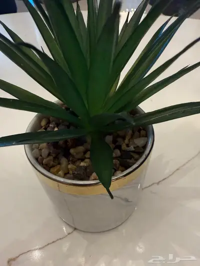 شجرة زينة رخامية 2