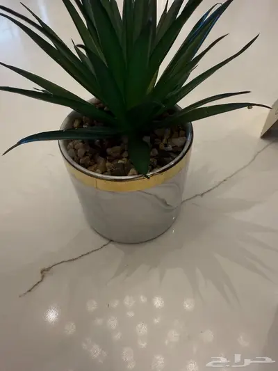 شجرة زينة رخامية 0