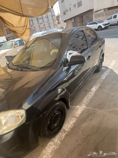 المدينه 0